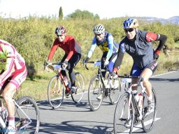 Menorial León Sanchez